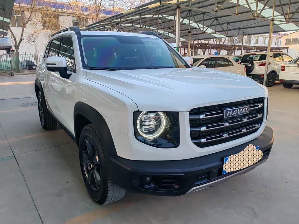 Haval Big dog