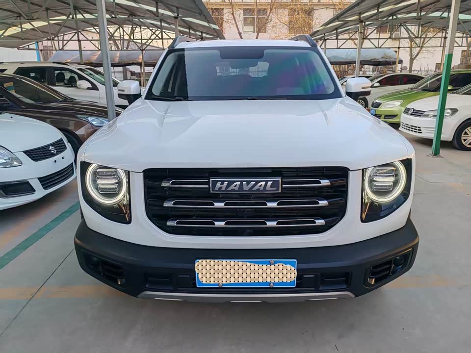 Haval Big dog