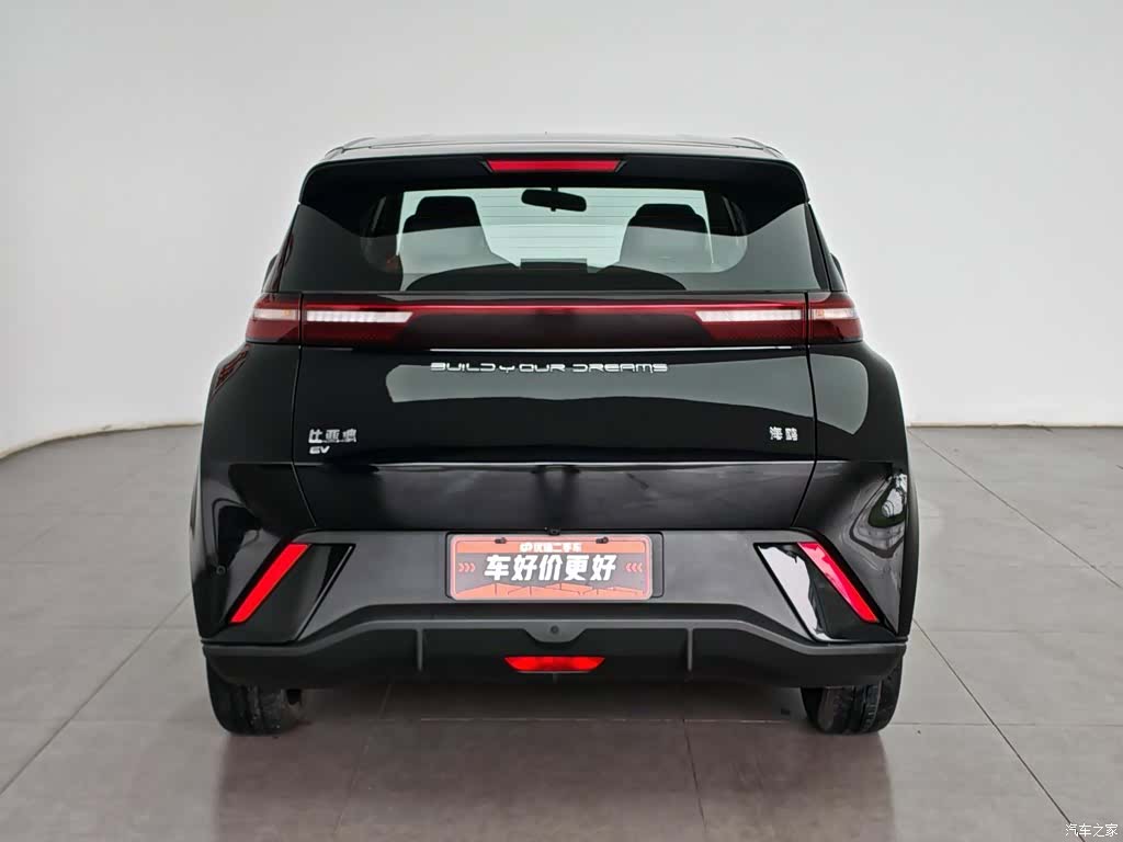 BYD Seagull, 2024 4