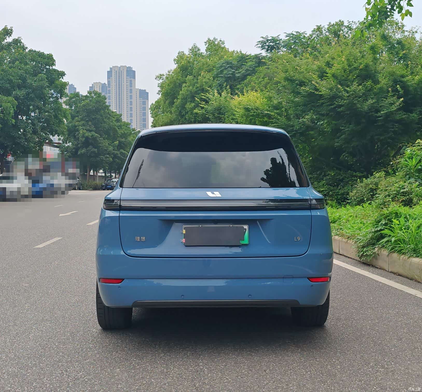 Li Auto L9, 2022 все фото