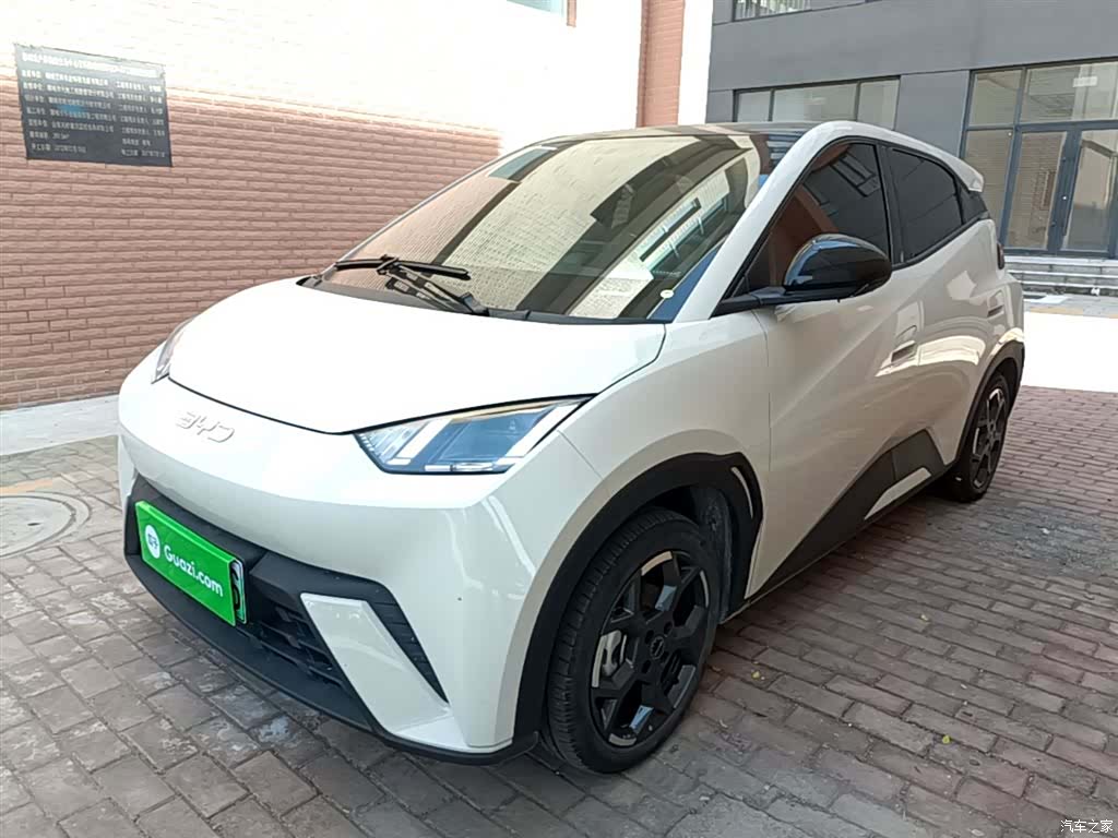 BYD Seagull, 2024 1