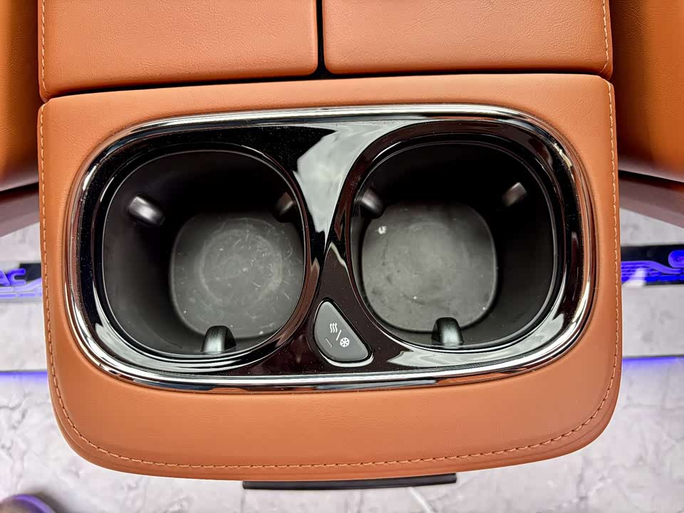 Trumpchi Trumpchi E9