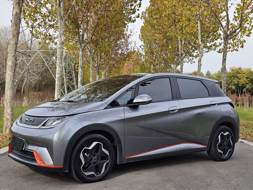 BYD dolphin