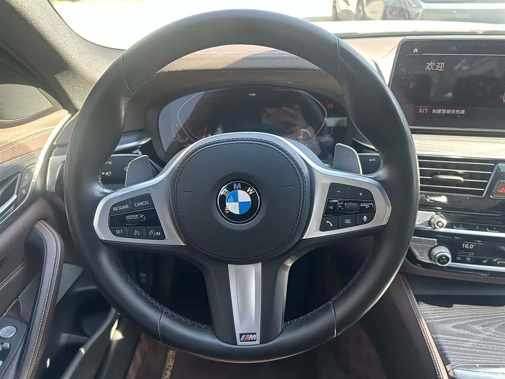 BMW 5 Series, 2021 10