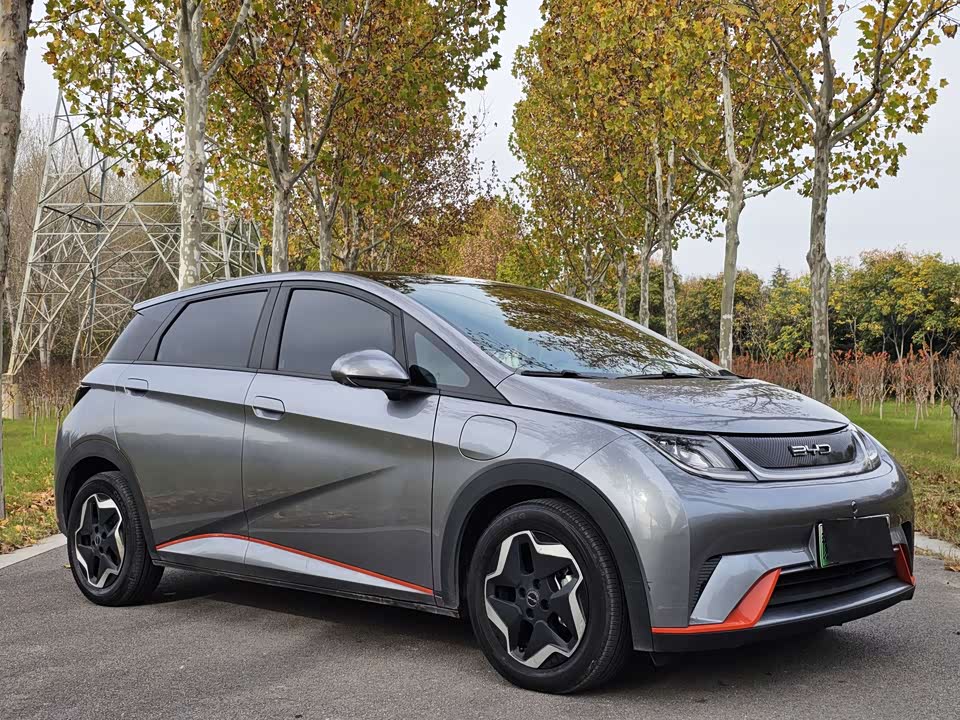 BYD dolphin