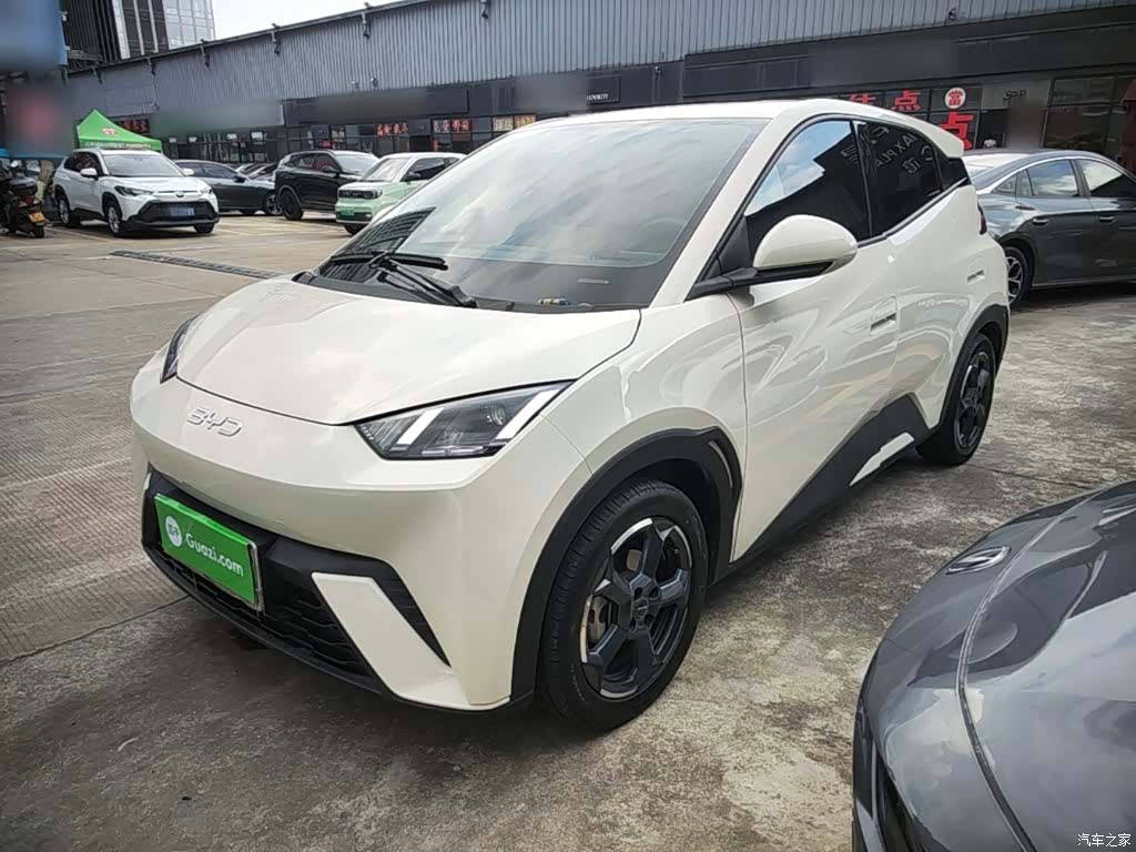 BYD Seagull, 2023 1