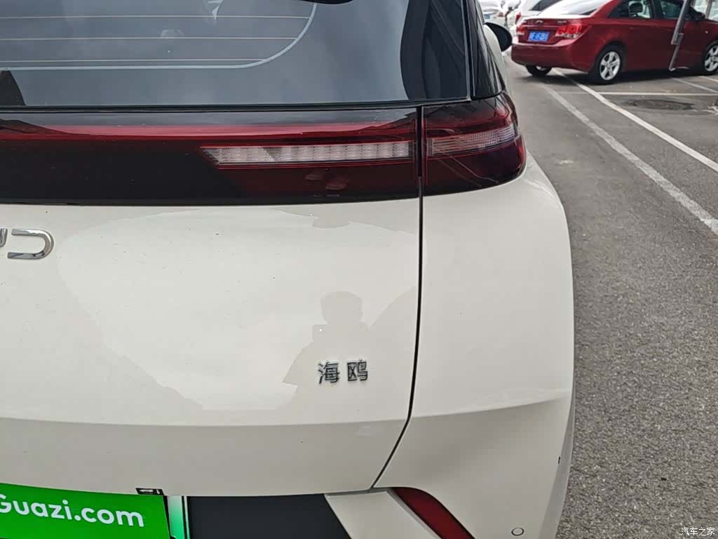 BYD Seagull, 2024 8