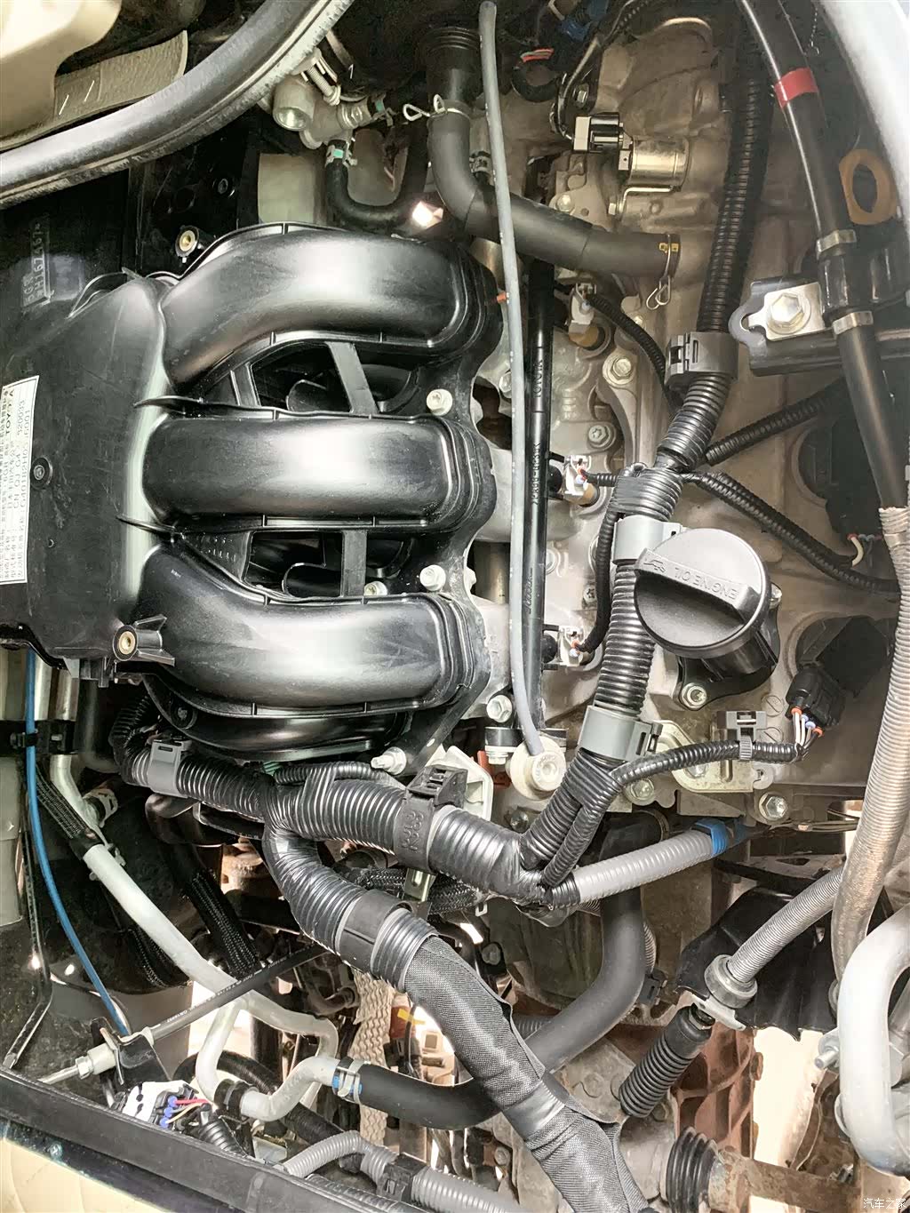 Toyota Coaster, 2017 18