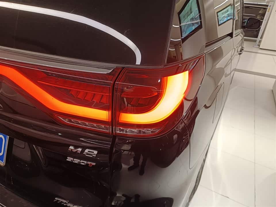 Trumpchi Trumpchi M8