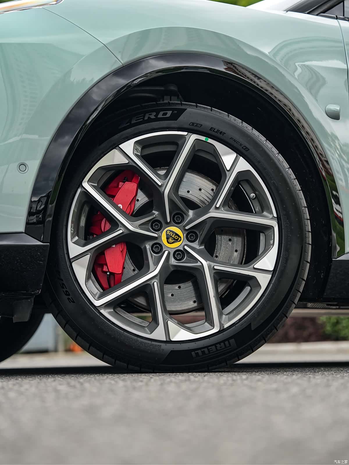 Lotus FOR, 2026 8