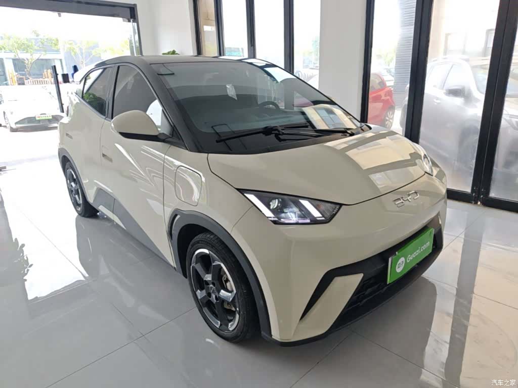 BYD Seagull, 2024 4