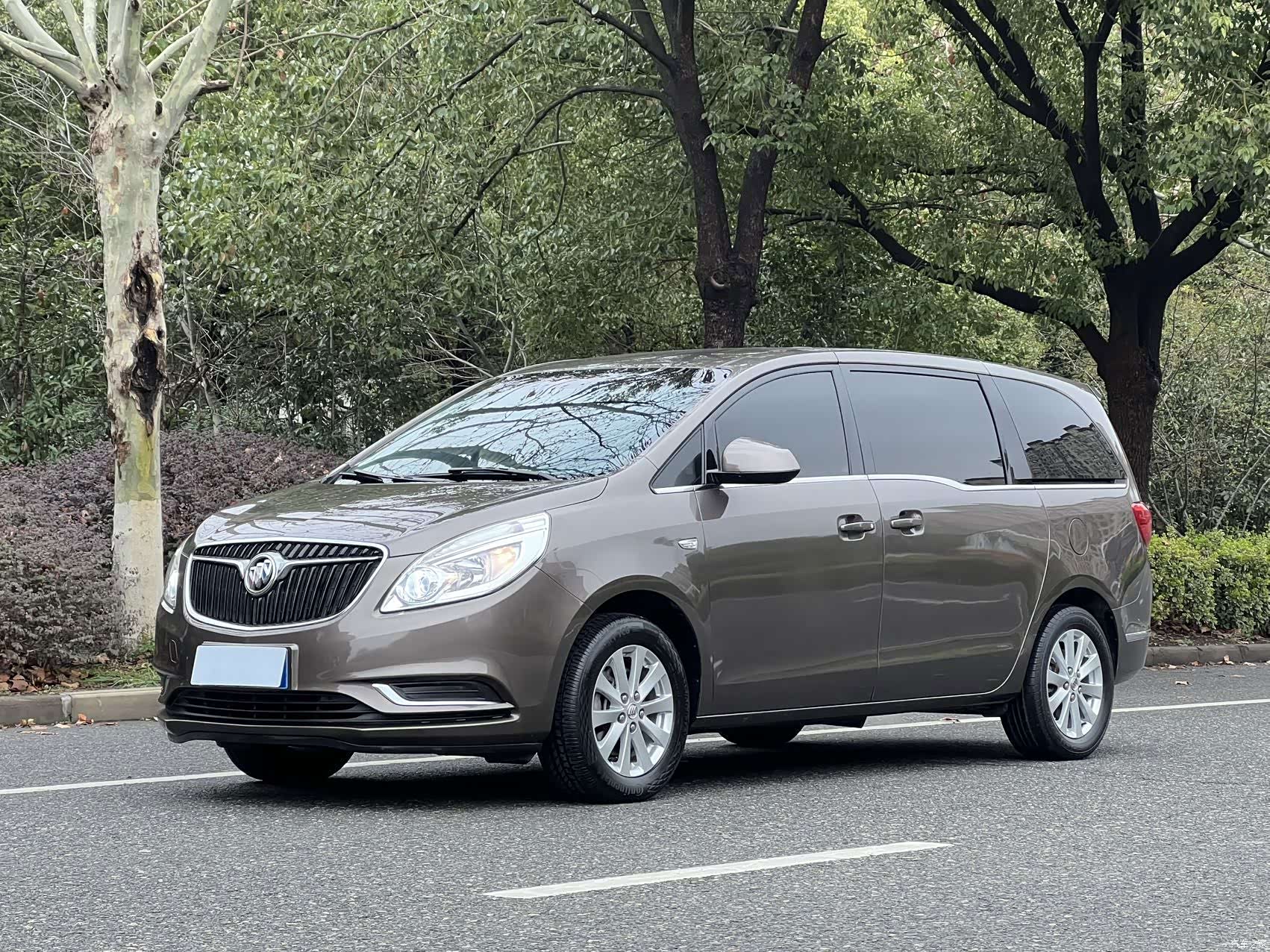 Buick GL8, 2019 1