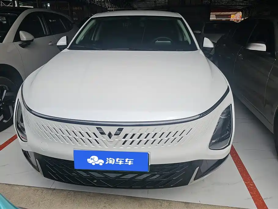 Wuling Wuling Starlight