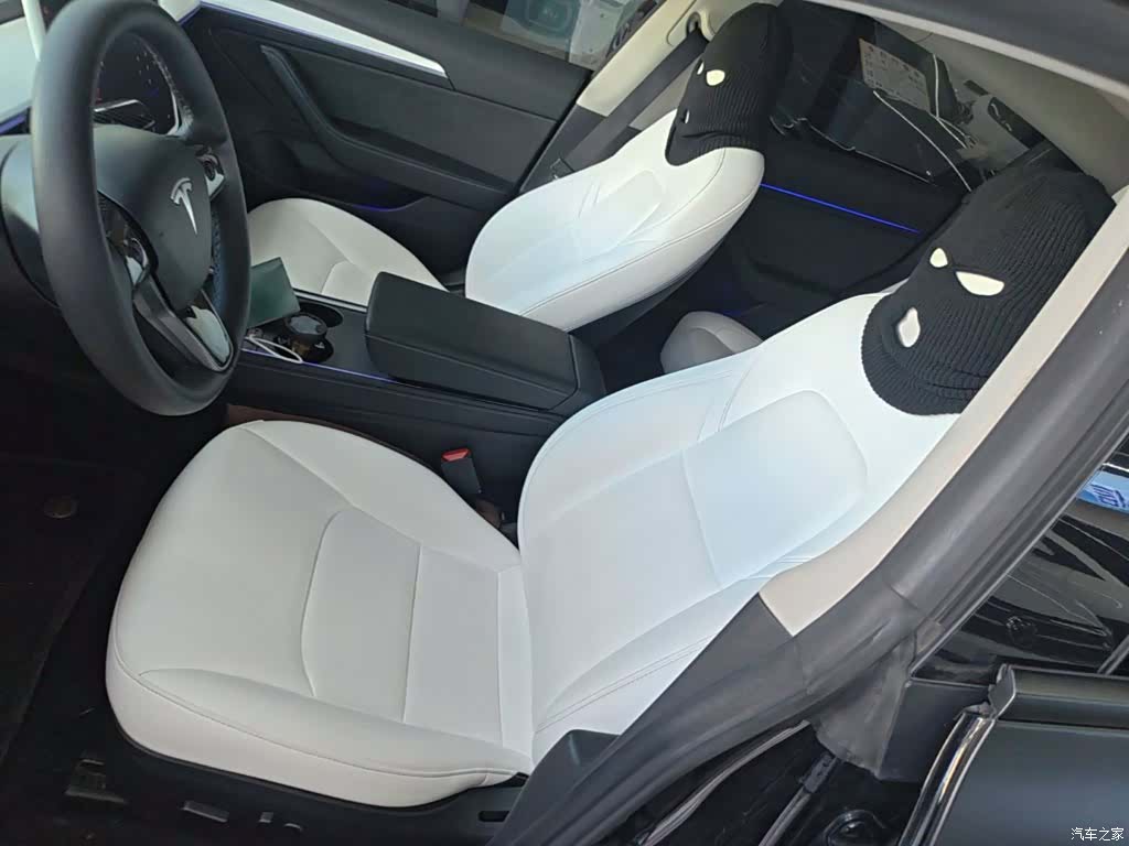 Tesla Model 3, 2021 15