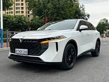 ������V 2022�� 260T �����桤����