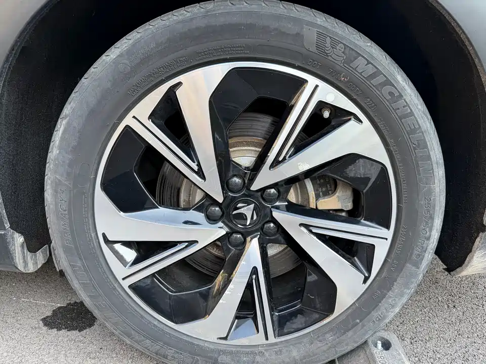 ARCFOX Polar Fox Alpha S