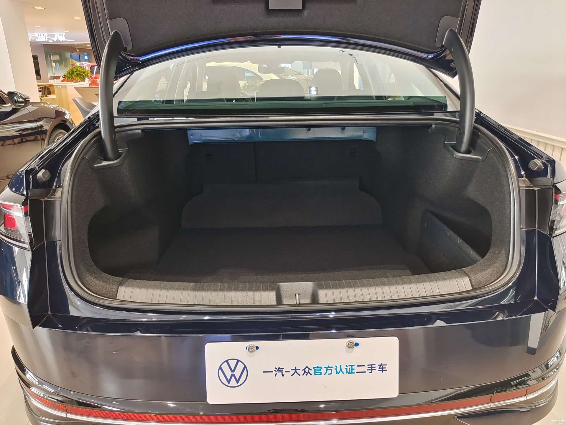 Volkswagen Magotan, 2024 10