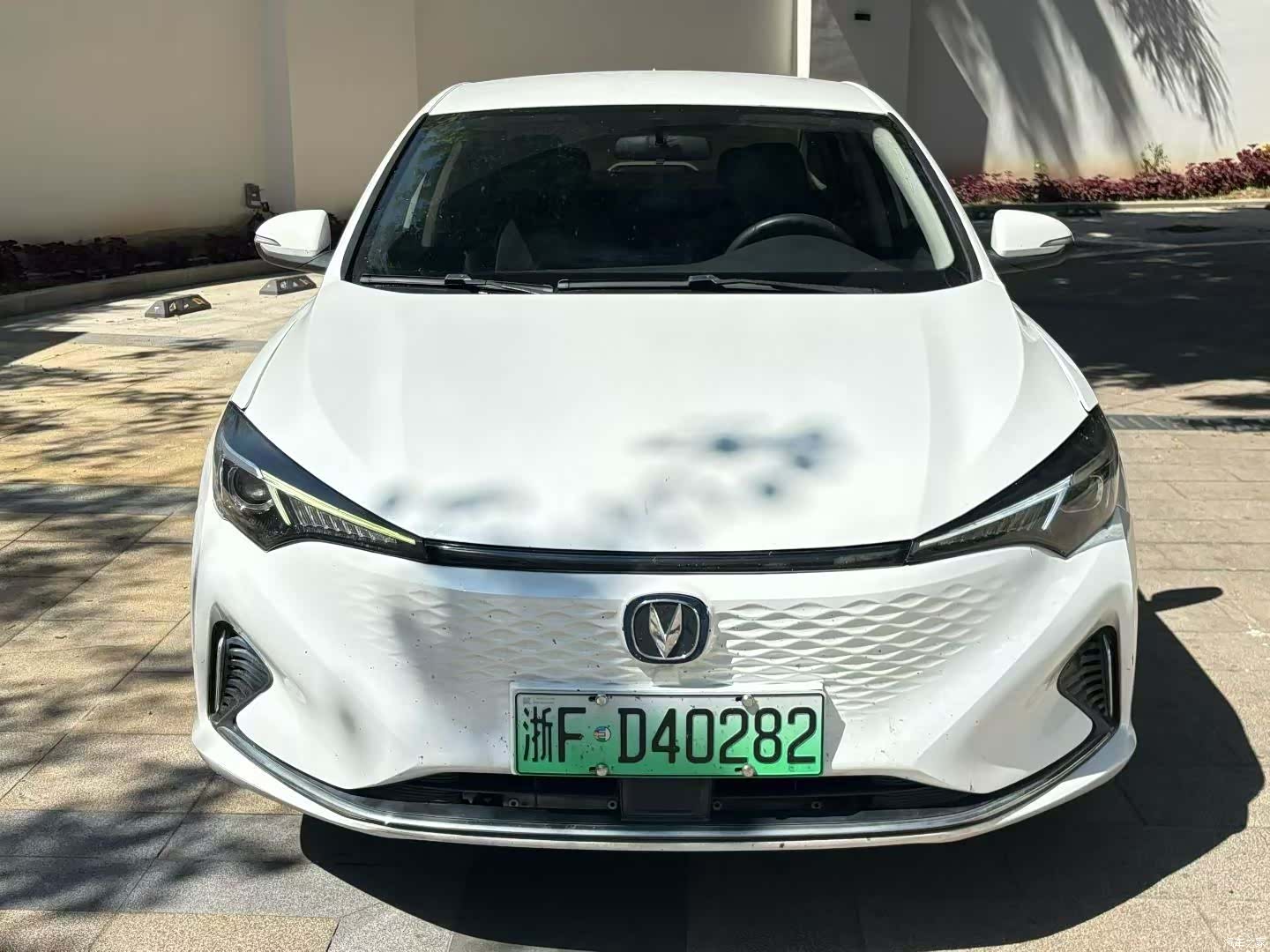 Changan Eado, 2023 2