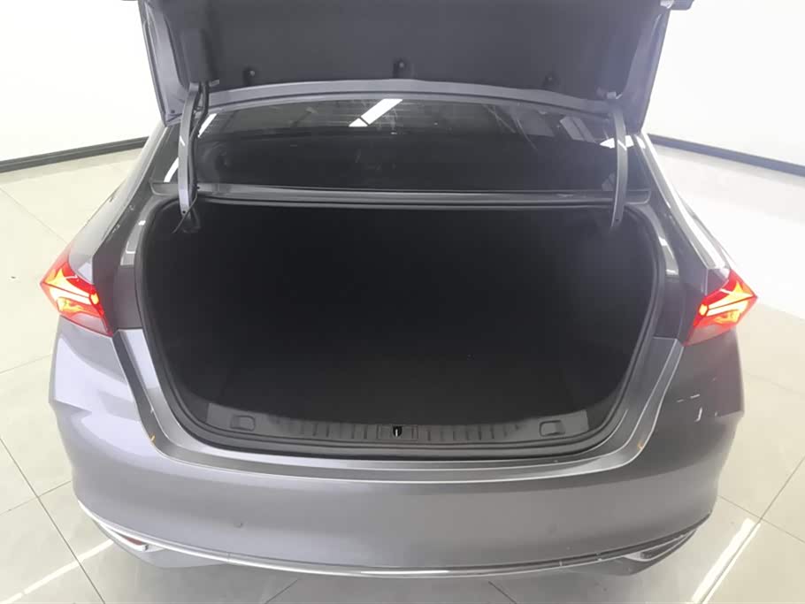 Buick Weilang