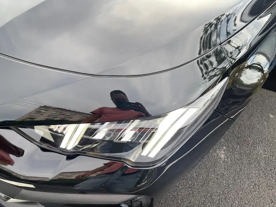 Trumpchi Shadow Leopard