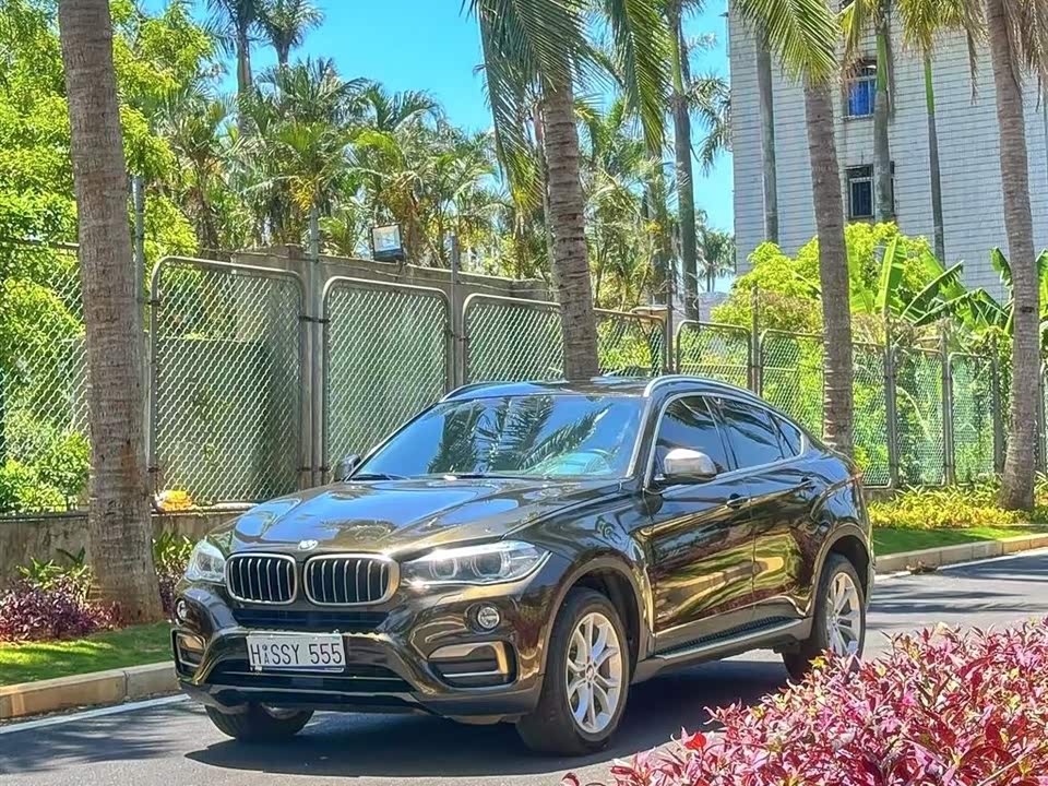 BMW X6