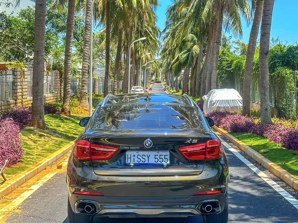 BMW X6