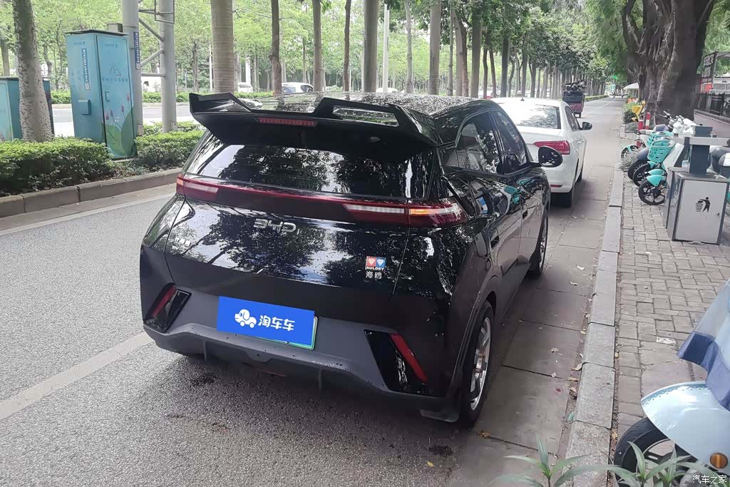 BYD Seagull, 2024 3