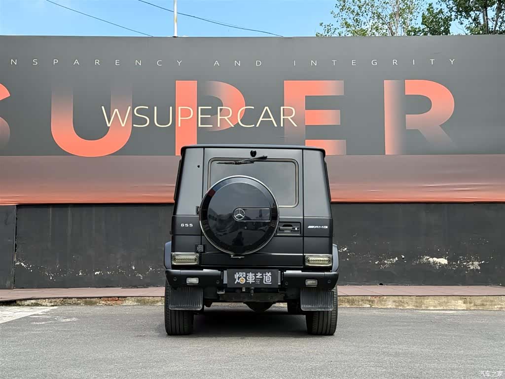 Mercedes-Benz G-Class, 2009 4