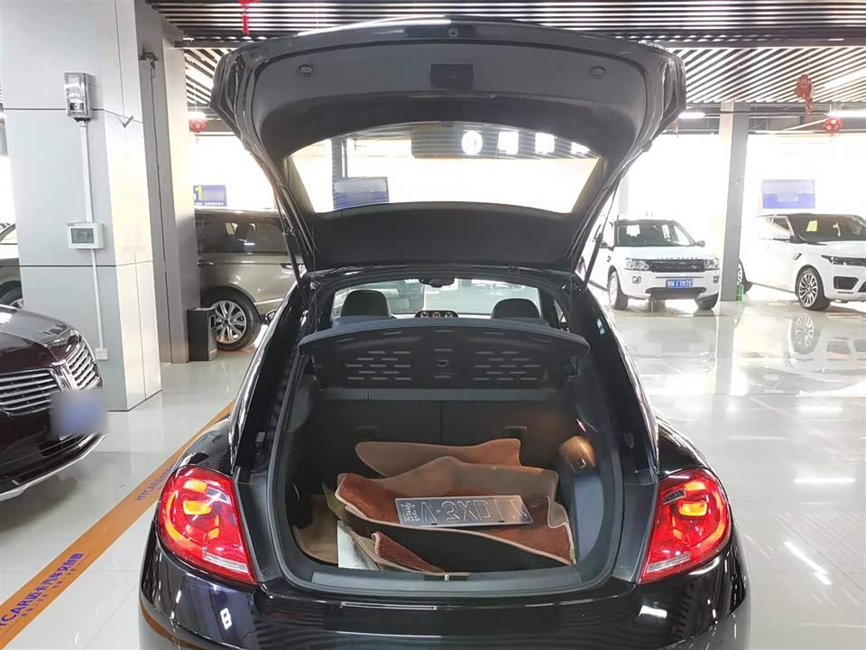 Volkswagen Beetle