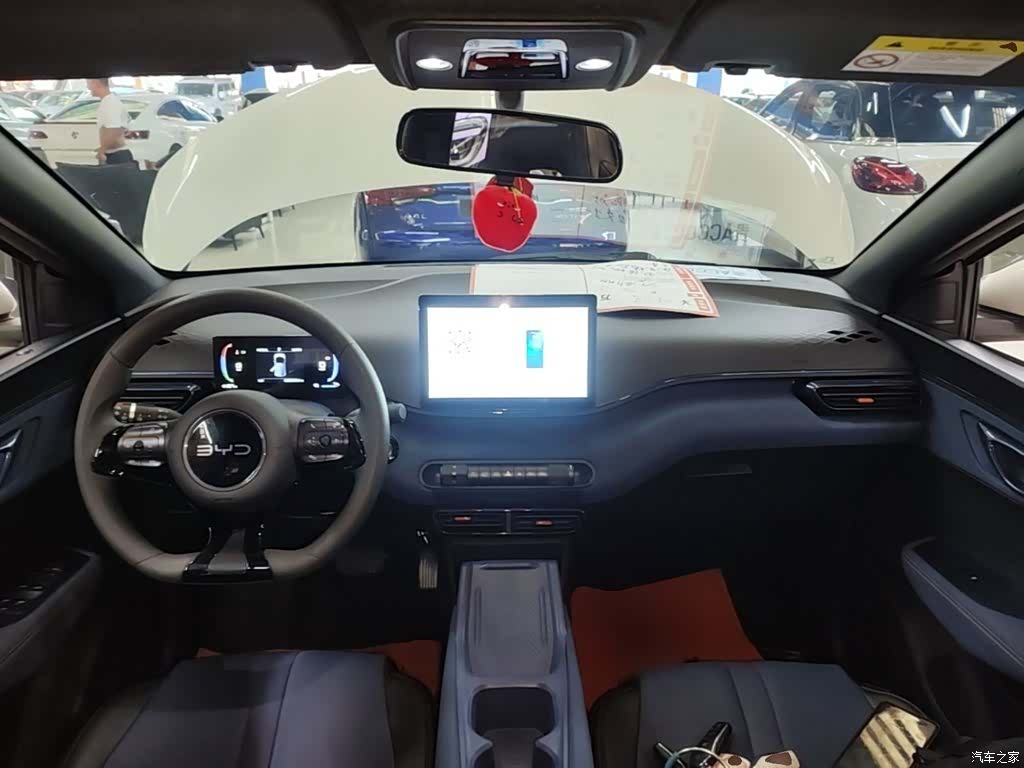 BYD Seagull, 2024 10