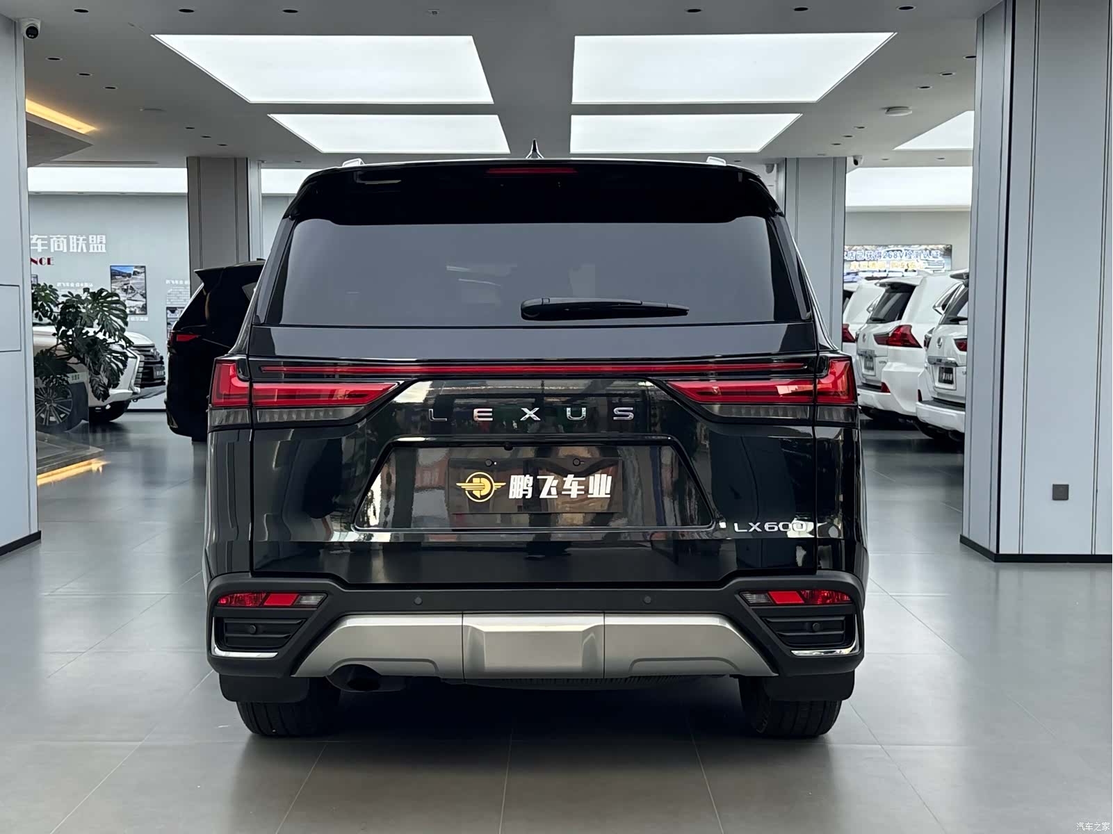 Lexus LX, 2024 2