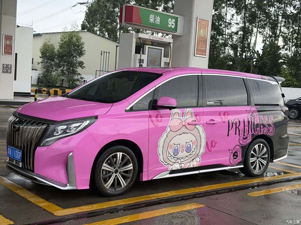 Trumpchi M8, 2020 1