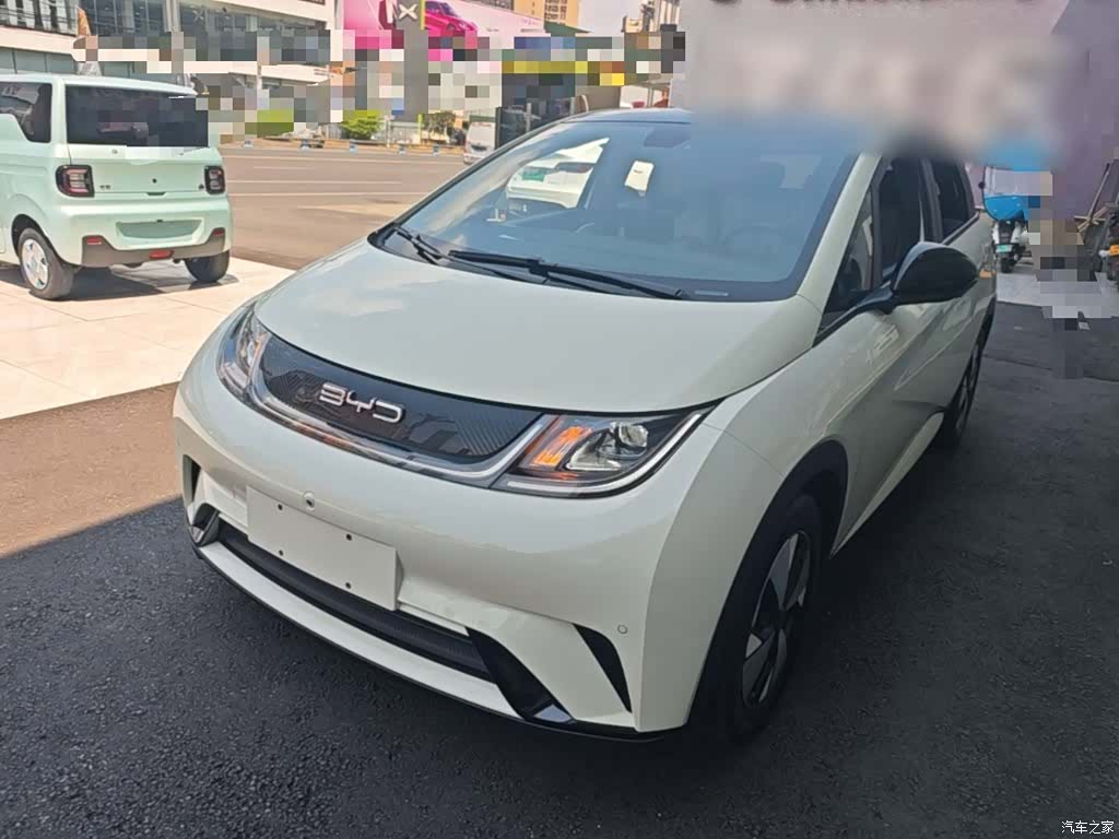 BYD Dolphin, 2024 1