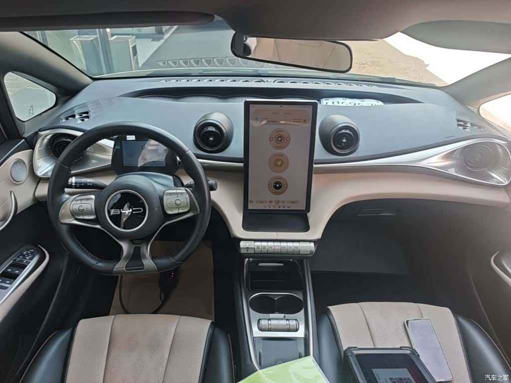 BYD Dolphin, 2024 10