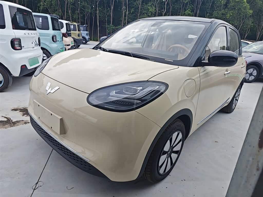 Wuling Binguo