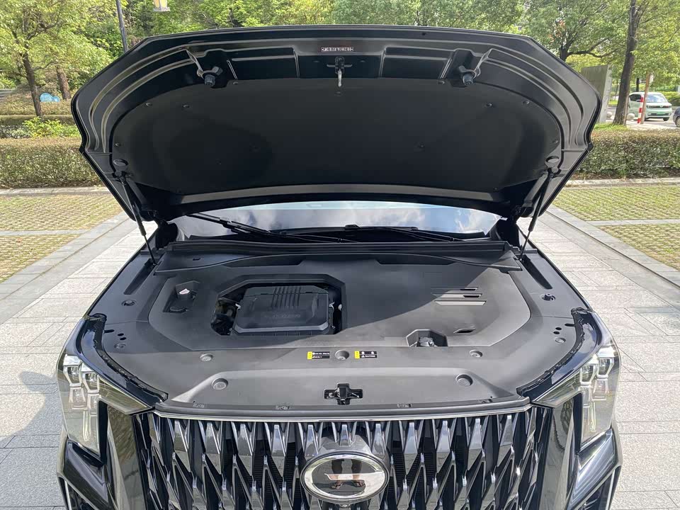 Trumpchi Trumpchi GS8