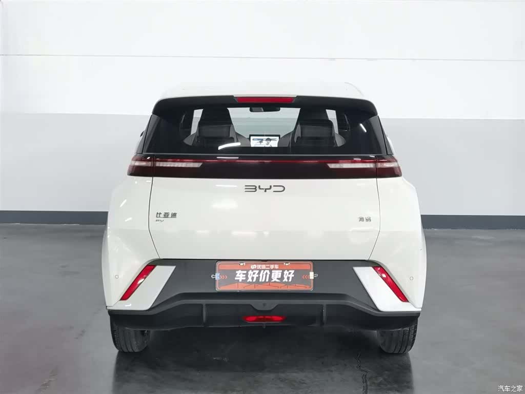 BYD Seagull, 2024 4