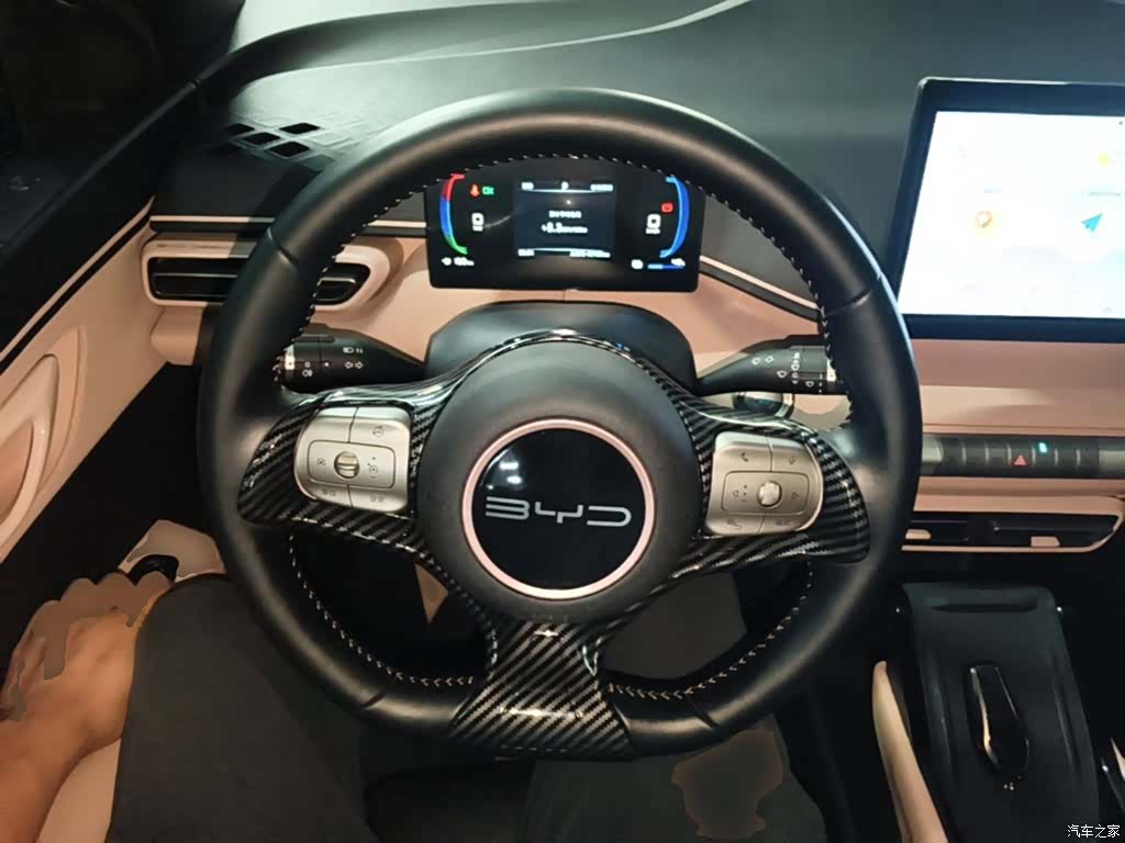 BYD Seagull, 2023 11