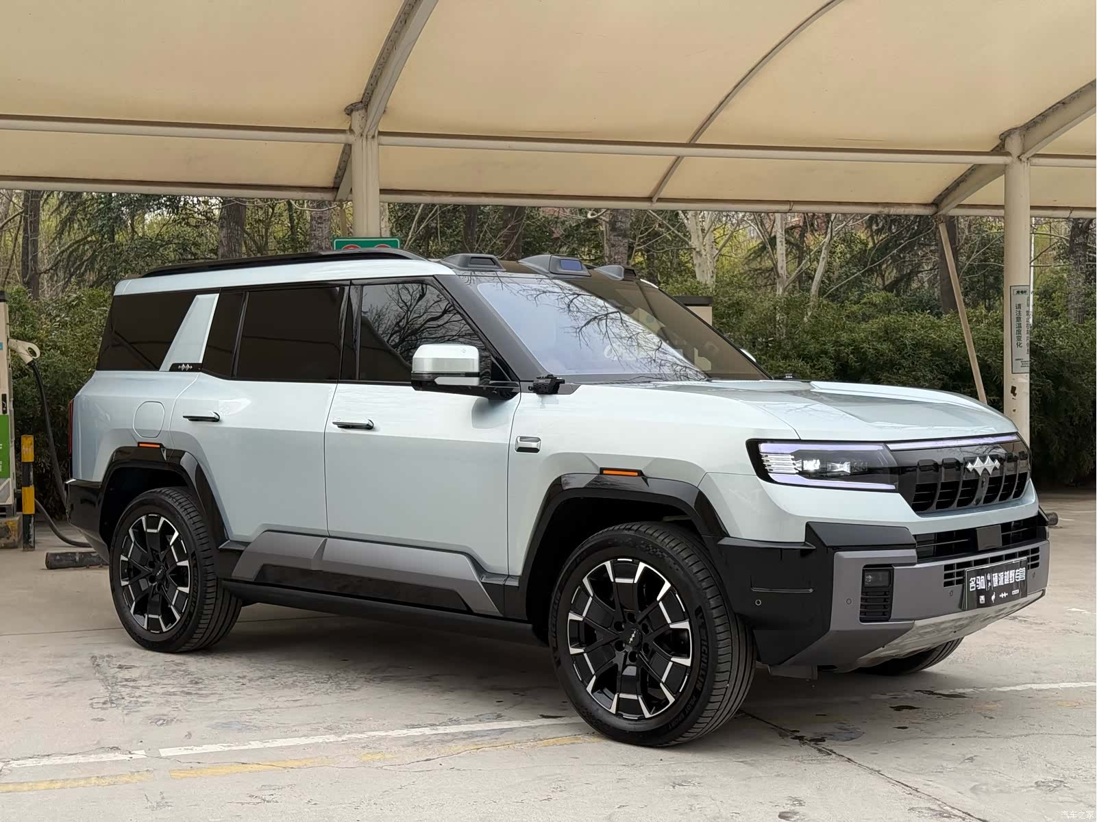Fang Cheng Bao Bao 8, 2024 3