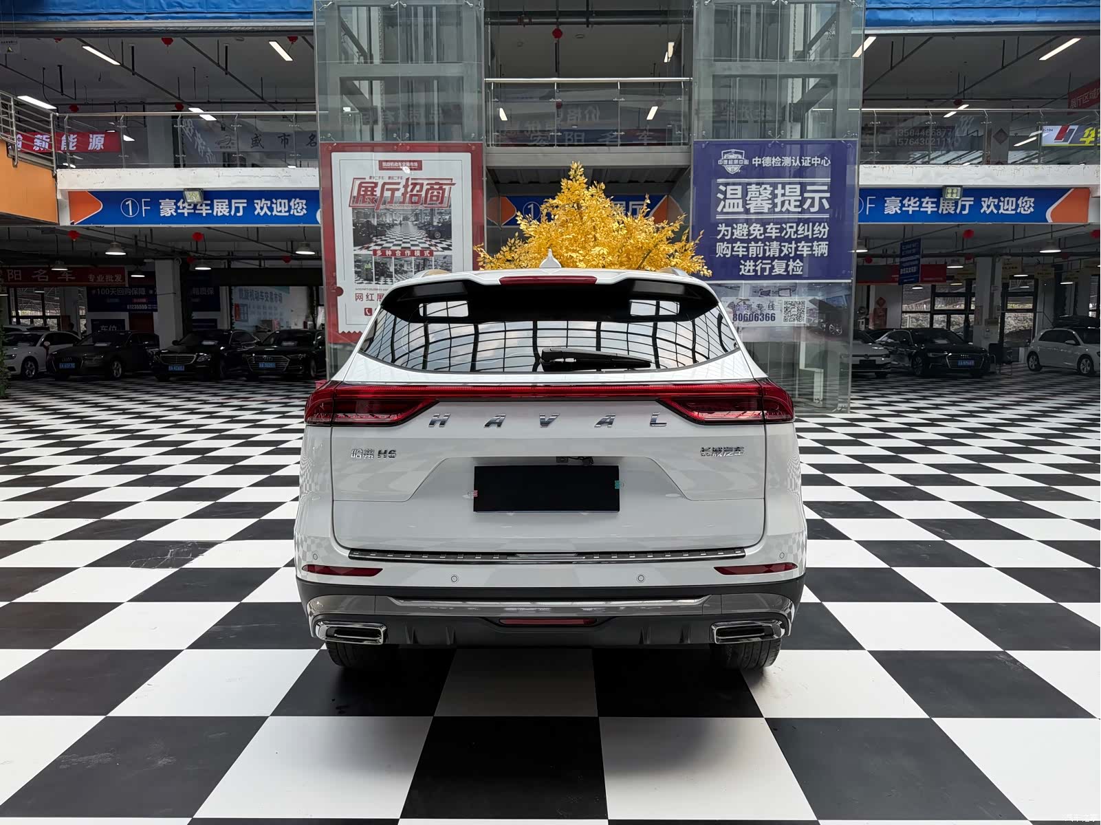 Haval H6, 2022 все фото