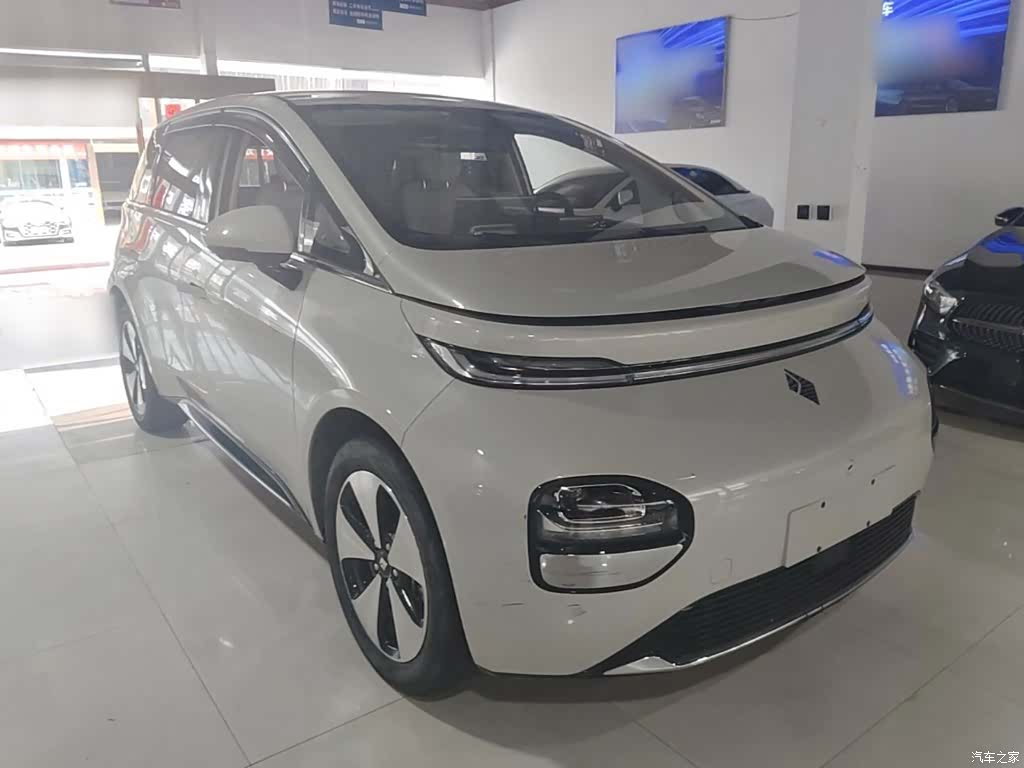 Wuling 460, 2024 4