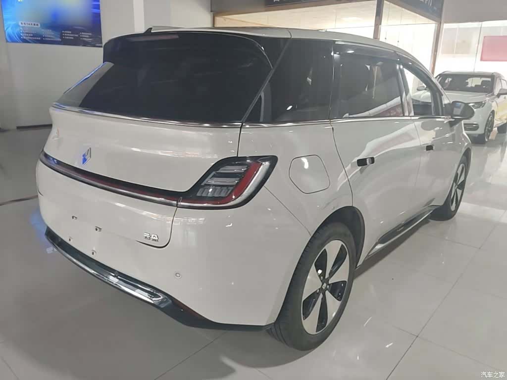 Wuling 460, 2024 7