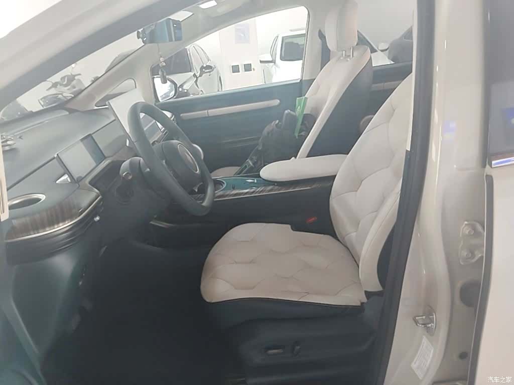 Wuling 460, 2024 15