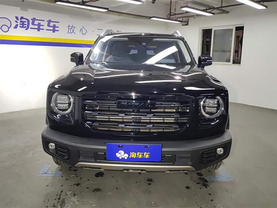 Haval Big dog