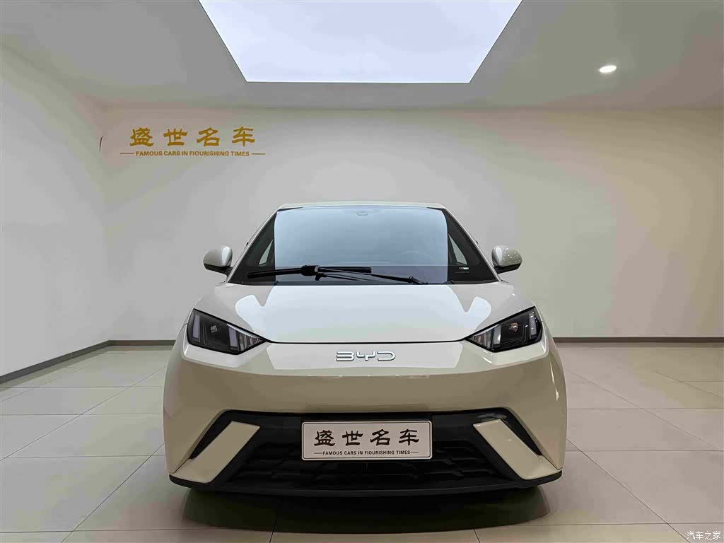 BYD Seagull, 2024 2