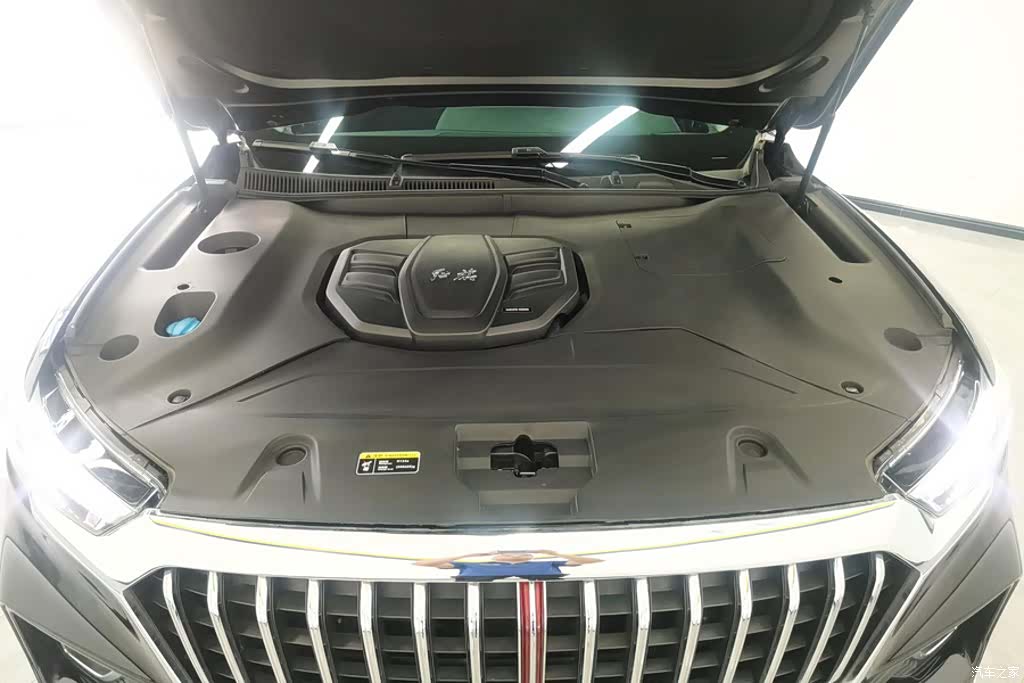 Hongqi HS5, 2021 10