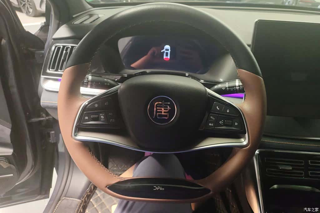 BYD Tang, 2022 15