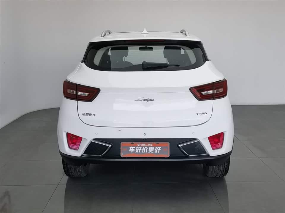 Zotye T300