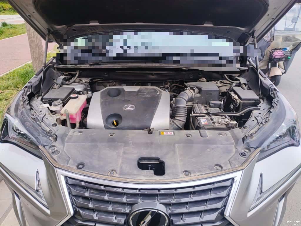 Lexus NX, 2020 11