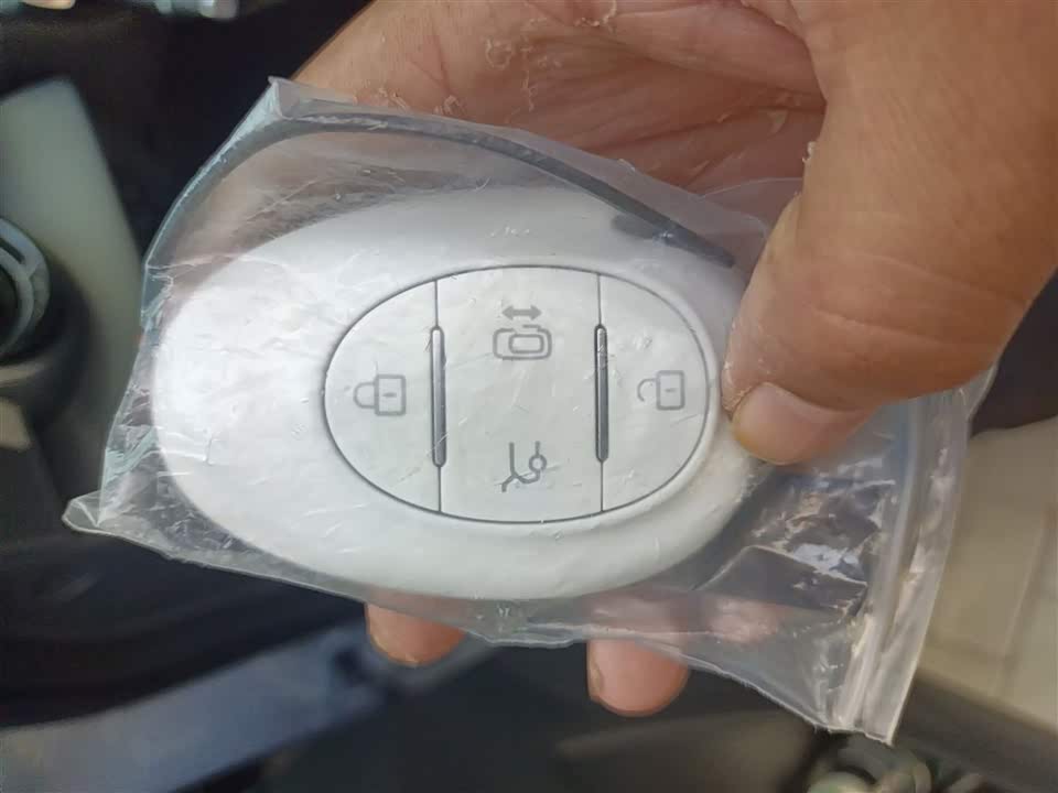 ARCFOX Polar Fox Koala S